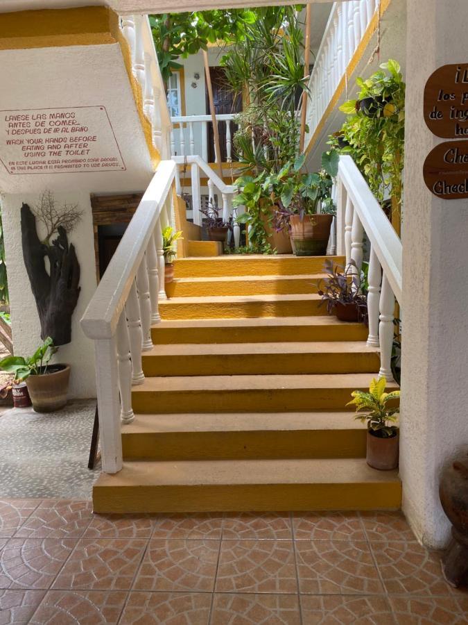Adoquin Hotel ซิโปไลต์ ภายนอก รูปภาพ